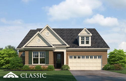 Lot 59 – 914 Shasta Daisy