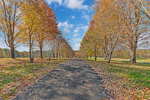 Saddlebrook Properties