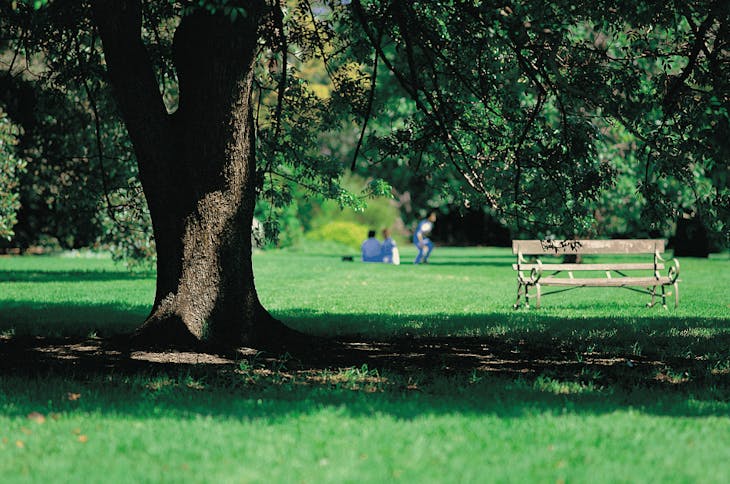 McFee Park