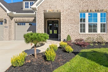 Lot 19 – 12703 Red Poppy- Photo 2