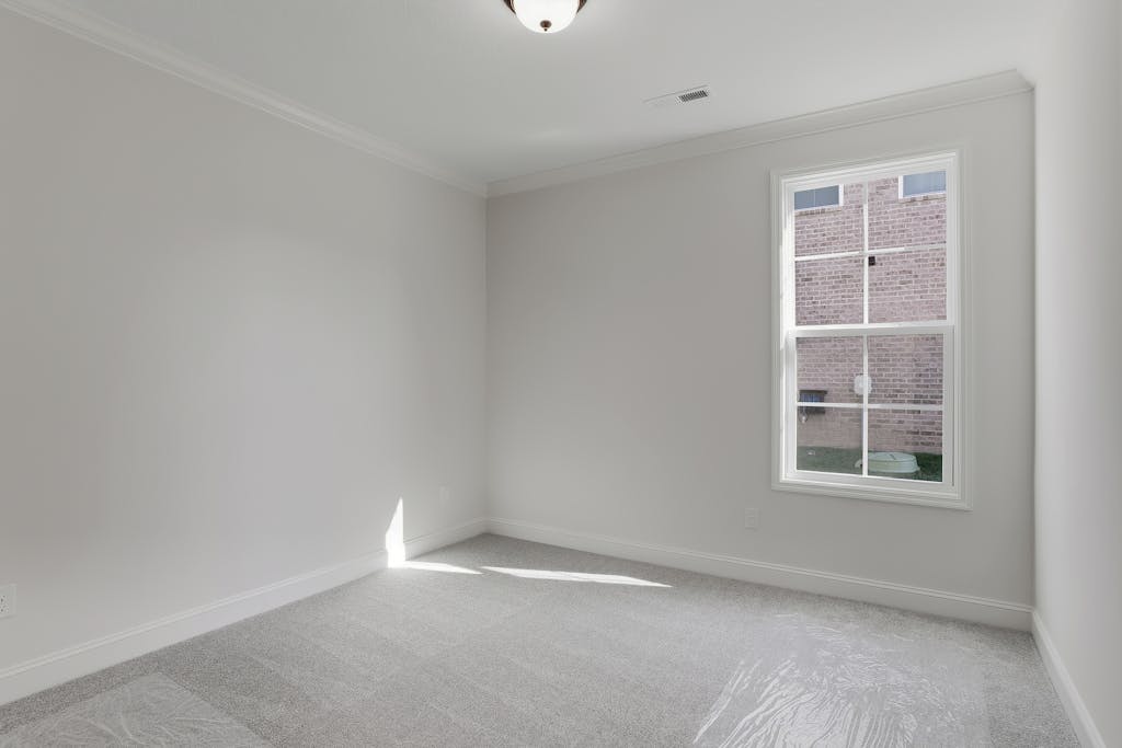 High resolution image #26 for MDWS 19 – 12703 Red Poppy.