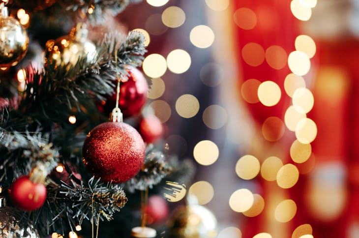 Must-Do Holiday Activities for Your First Christmas in Knoxville, Tennessee