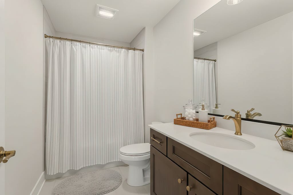 Image #39 for Primrose